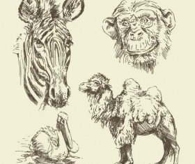 Wild animals hand drawing vectors set 07