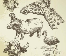 Wild animals hand drawing vectors set 09