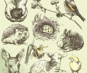 Wild animals hand drawing vectors set 10