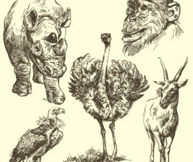 Wild animals hand drawing vectors set 12