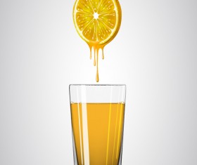 lemon juice material vector set 02