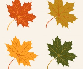 4 Kind autumn leaves vector material