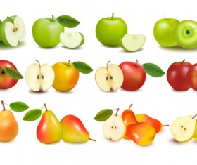 Apple and pears slice vector