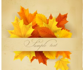 Beautiful autumn leaves background art vectors 02