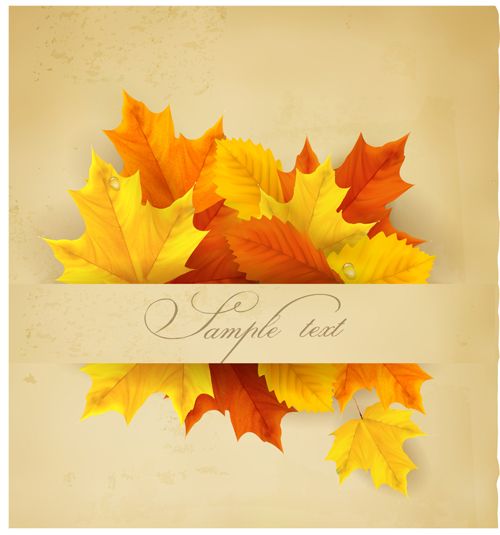 Beautiful autumn leaves background art vectors 02