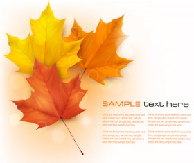 Beautiful autumn leaves background art vectors 03