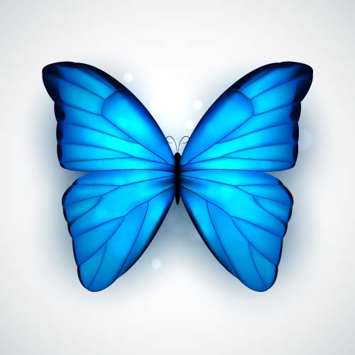 Beautiful butterflies design material vector 02