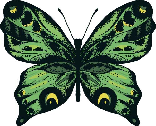 Beautiful butterflies design material vector 04