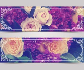 Beautiful rose with blurs background vector 03