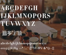 Didot font