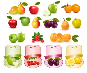 Different fruits with labels vectors