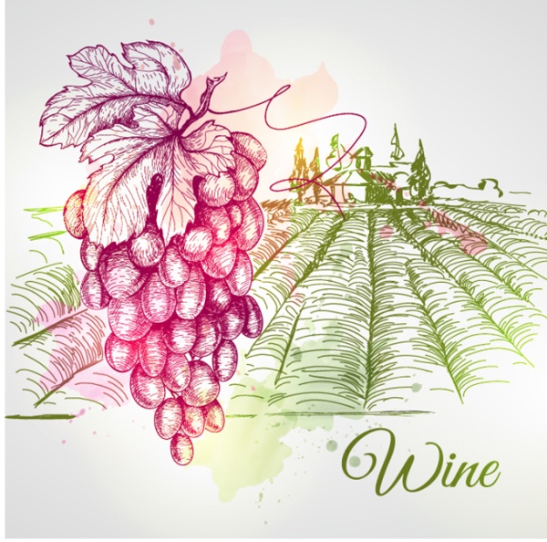 Grape and farm hand drawing vector material