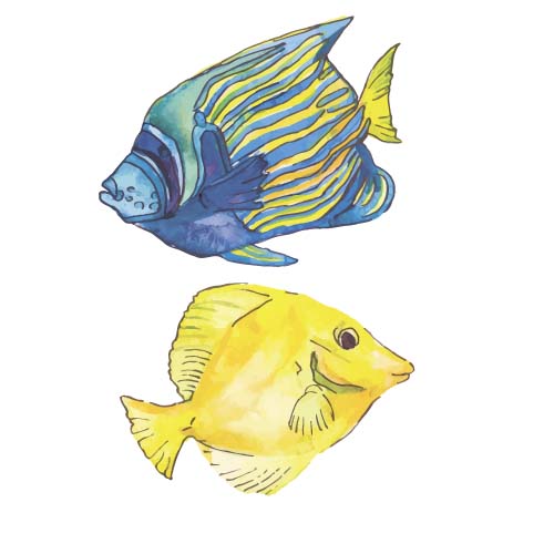 Hand drawn marine fish watercolor vector 02