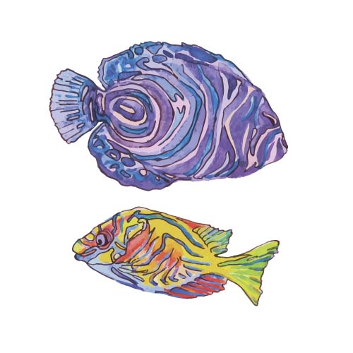 Hand drawn marine fish watercolor vector 03
