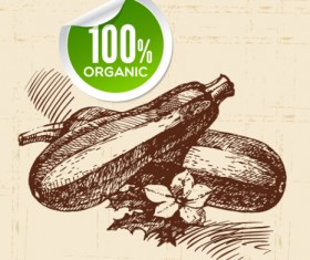 Hand drawn vegetables with organic sticker vector 01