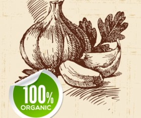 Hand drawn vegetables with organic sticker vector 03