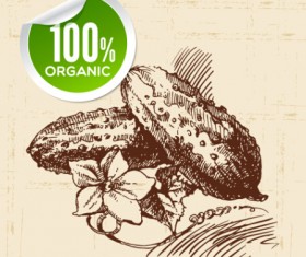 Hand drawn vegetables with organic sticker vector 05