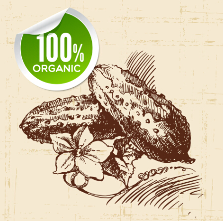 Hand drawn vegetables with organic sticker vector 05