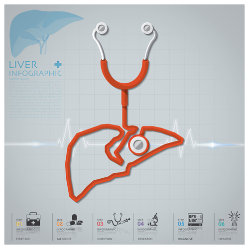 Health and Medical infographic with Stethoscope vector 06