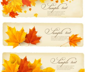 Maple leaves banner autumn vector