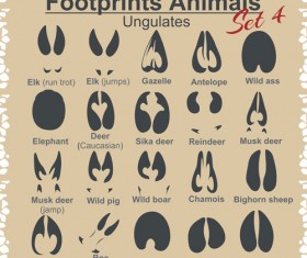 Various footprints animals design vectors 02