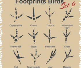 Various footprints animals design vectors 04