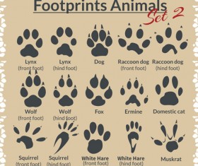 Various footprints animals design vectors 05