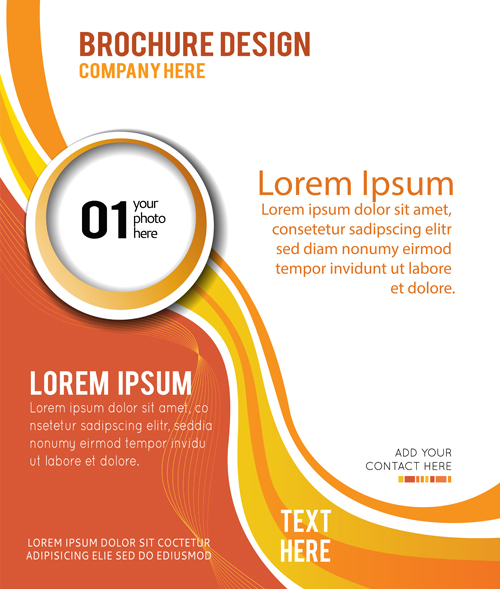 Abstract brochure business template vector 01
