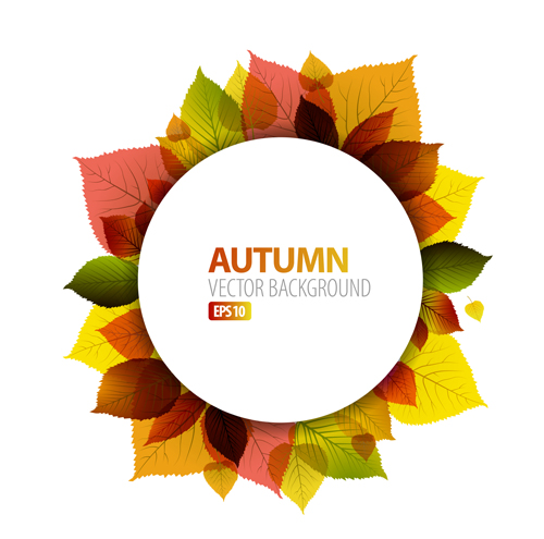 Autumn leaves frame vector background