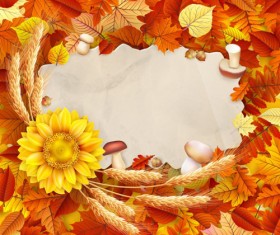 Autumn leaves with wheat and mushrooms frame background vector