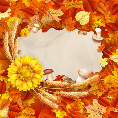 Autumn leaves with wheat and mushrooms frame background vector