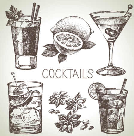 Cocktails drawn vintage vectors 01