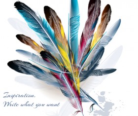 Colored feathers with grunge background vector 01