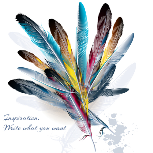 Colored feathers with grunge background vector 01