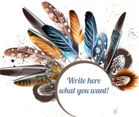 Colored feathers with grunge background vector 02