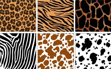 Different decorative animal pattern vector