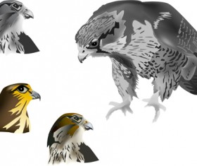 Eagle with head drawn vector 01