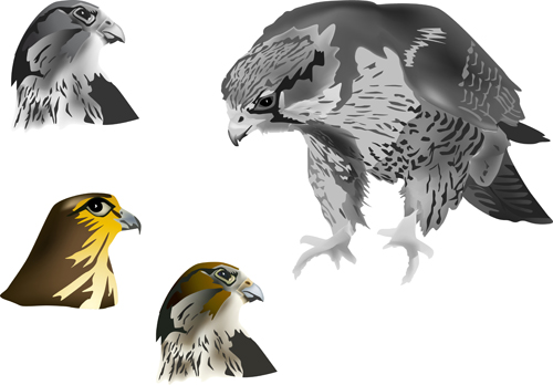 Eagle with head drawn vector 01