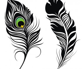 Feather abstract vectors material 01