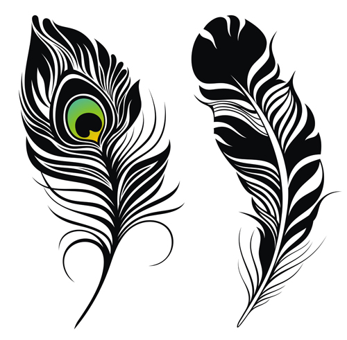 Feather abstract vectors material 01
