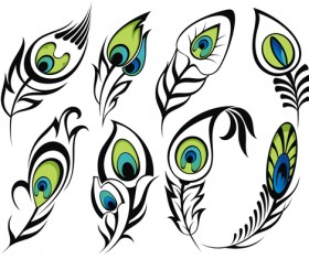 Feather abstract vectors material 03