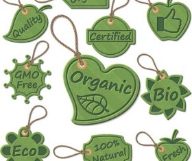 Green eco tags vector design