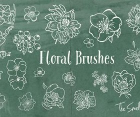 Hand drawn Floral Brushes