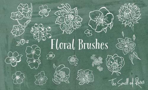 Hand drawn Floral Brushes