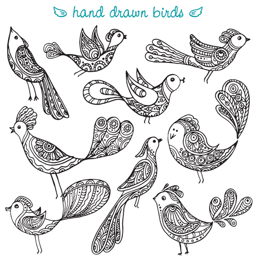 Hand drawn birds vector set