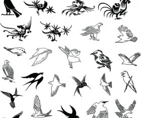 Hand drawn birds with silhouetter vector