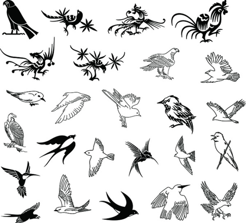 Hand drawn birds with silhouetter vector