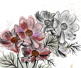 Hand drawn cosmos flowers vector
