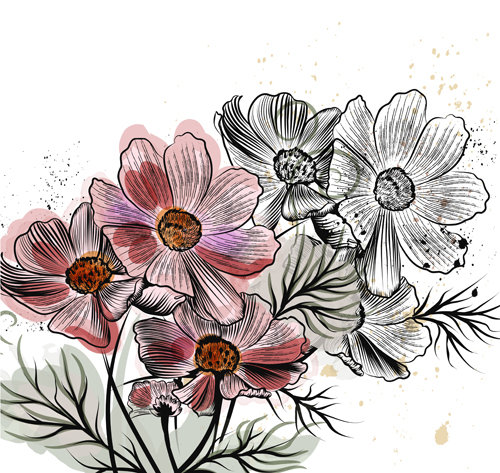 Hand drawn cosmos flowers vector