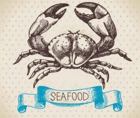 Hand drawn seafood with ribbon vectors 05
